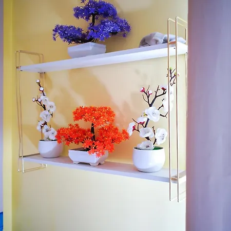 펜션 Pura Vida Luxury